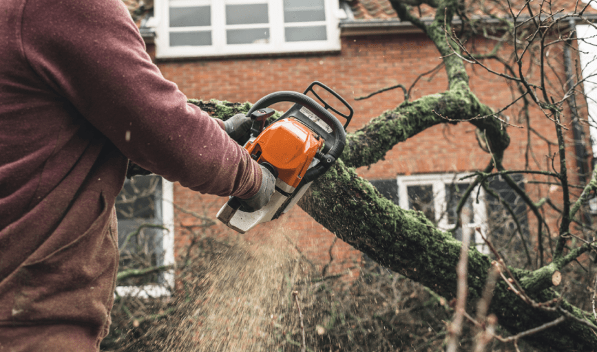 All About Tree Service 